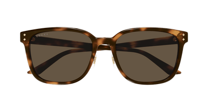 Gucci GG1896SK Havana 889652525495