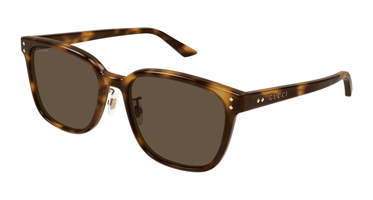 Gucci GG1896SK Havana 889652525495