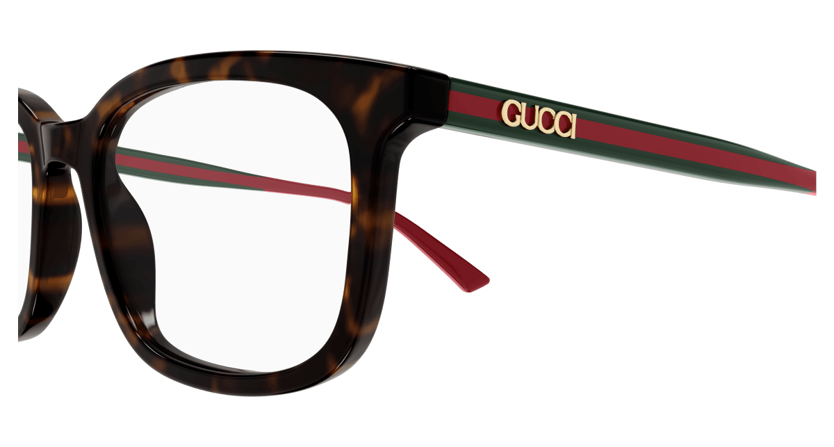 Gucci GG1928O Havana 002 889652565811