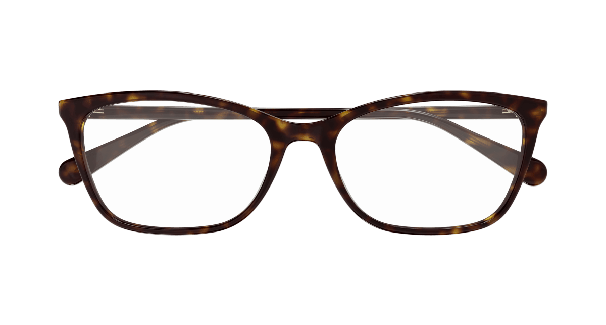 Gucci GG1930O Havana 002 889652565989