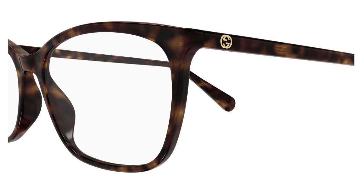 Gucci GG1930O Havana 002 889652565989