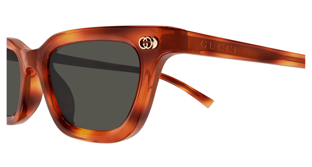 Gucci GG1944S Havana 002 889652567150