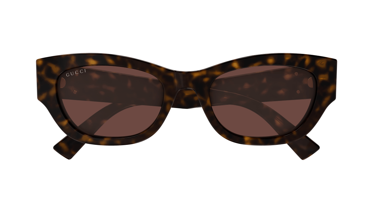 Gucci GG1954SA Havana 889652568089