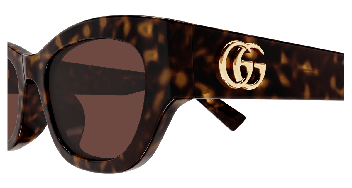 Gucci GG1954SA Havana 889652568089