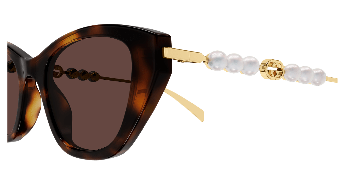 Gucci GG1968S Havana 889652568850