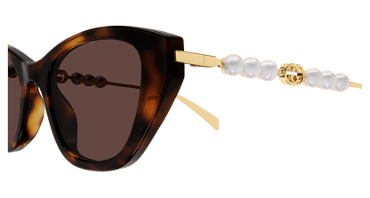 Gucci GG1968S Havana 889652568850