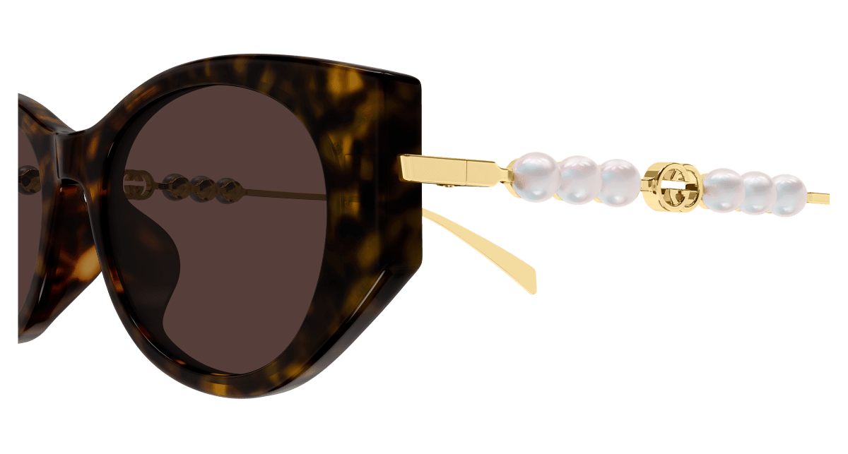 Gucci GG1970SA Havana 889652569048