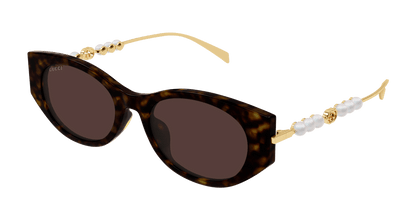 Gucci GG1970SA Havana 889652569048