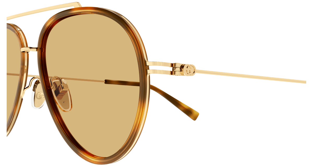 Gucci GG1981S Havana 002 889652570679