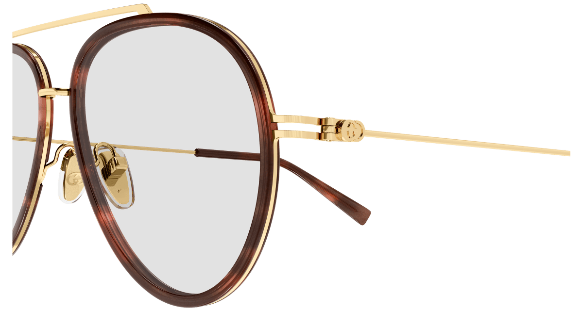 Gucci GG1981S Havana 006 889652570716