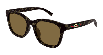 Gucci GG1984SK Havana 003 889652570860