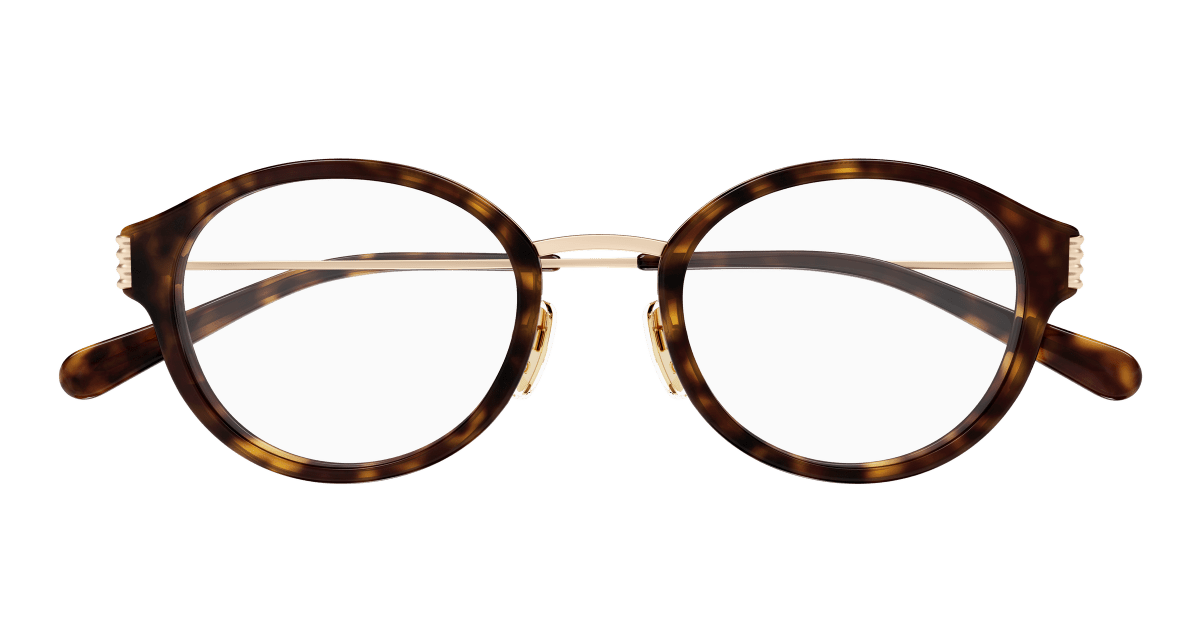 Gucci GG1999OJ Havana 889652571041