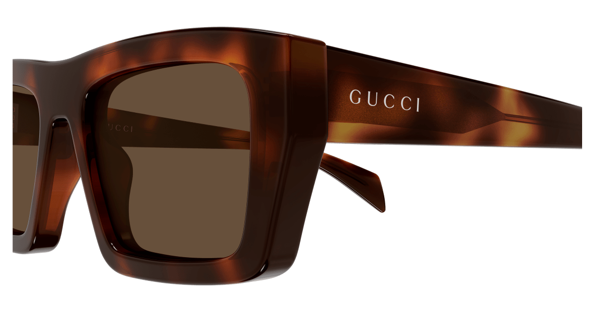 Gucci GG2020S Havana 889652627243