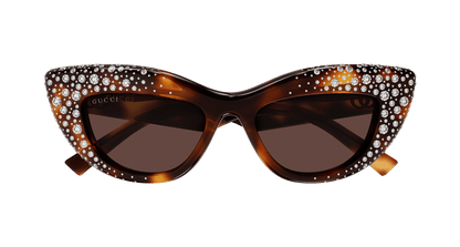 Gucci GG2031S Havana 006 889652634968
