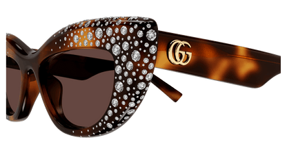 Gucci GG2031S Havana 006 889652634968