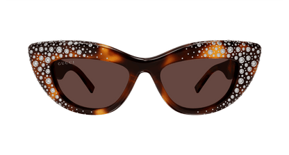 Gucci GG2031S Havana 006 889652634968