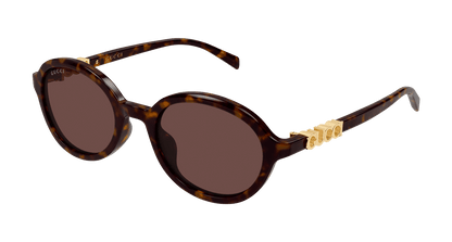 Gucci GG2033SA Havana 002 889652632384