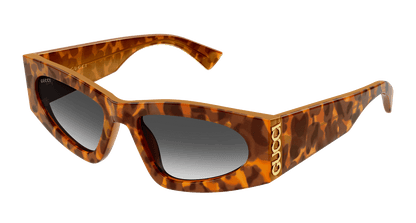 Gucci GG2040S Havana 004 889652625959