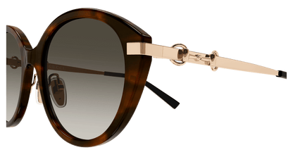 Gucci GG2056SA Havana 003 889652633893