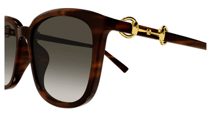 Gucci GG2057SK Havana 002 889652624594