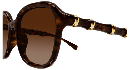 Gucci GG2061SA Havana 889652633497