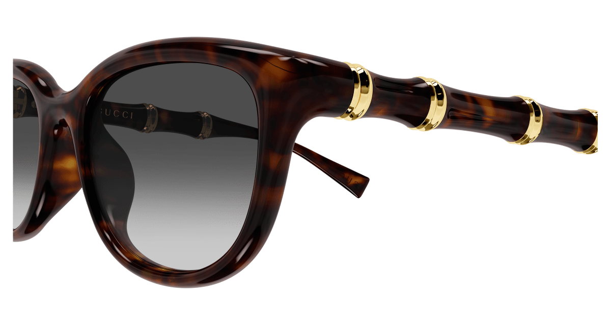 Gucci GG2062SA Havana 889652633534