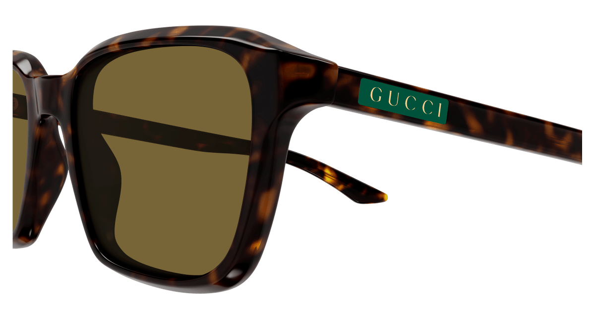 Gucci GG2078S Havana 002 889652625270