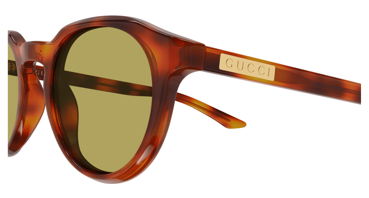 Gucci GG2079S Havana 005 889652625362