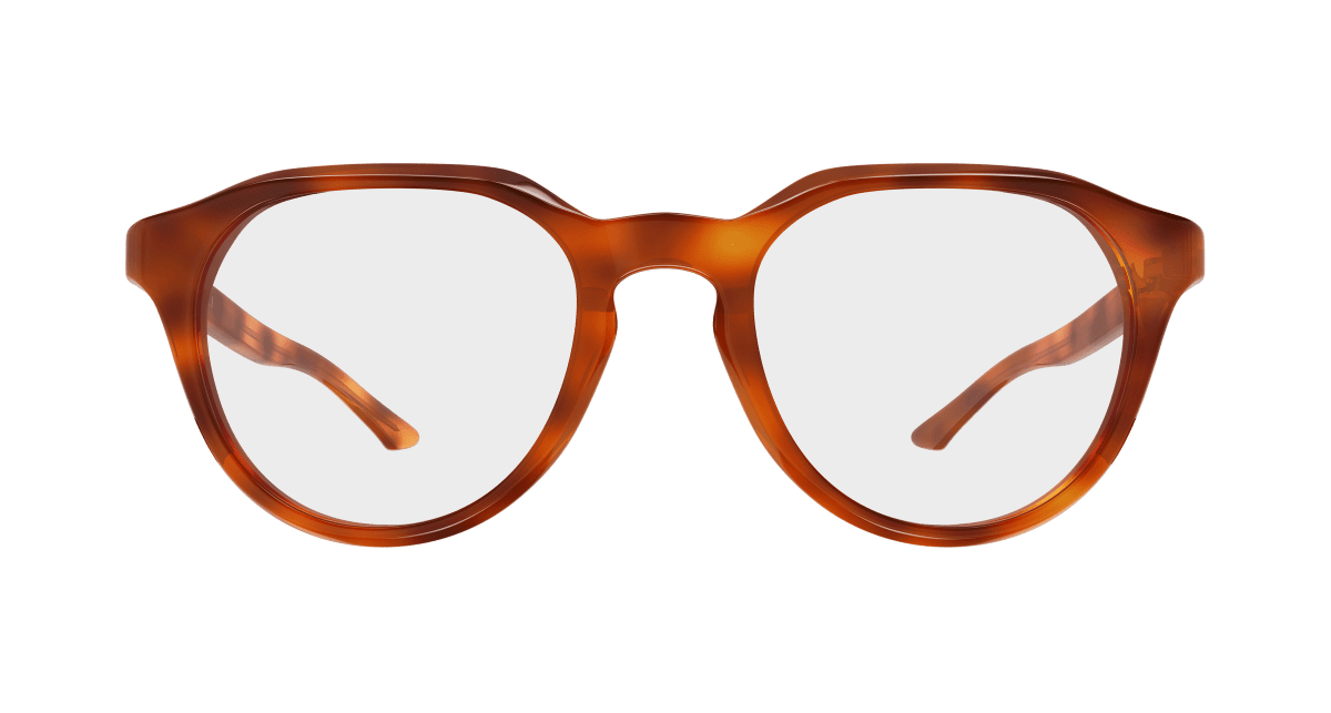 Gucci GG2083O Havana 004 889652625560