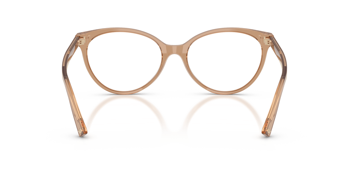 0JC3047 Transparent Tan rear view image 3 barcode 8056262576823