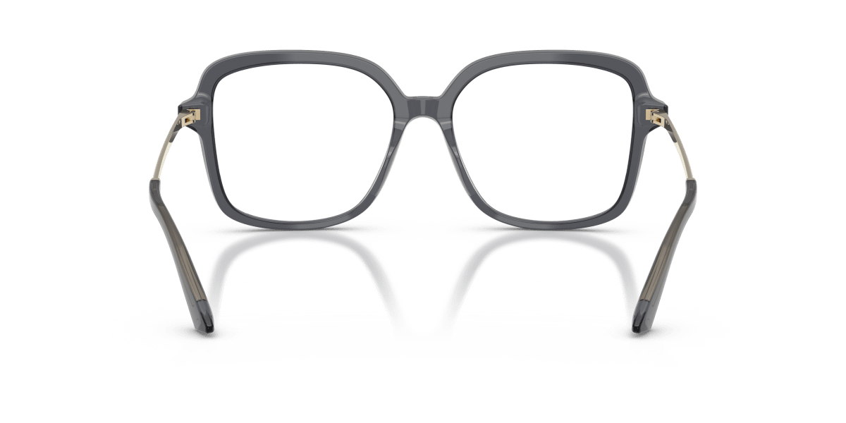 0JC3061U Transparent Grey rear view image 3 barcode 8056262852798
