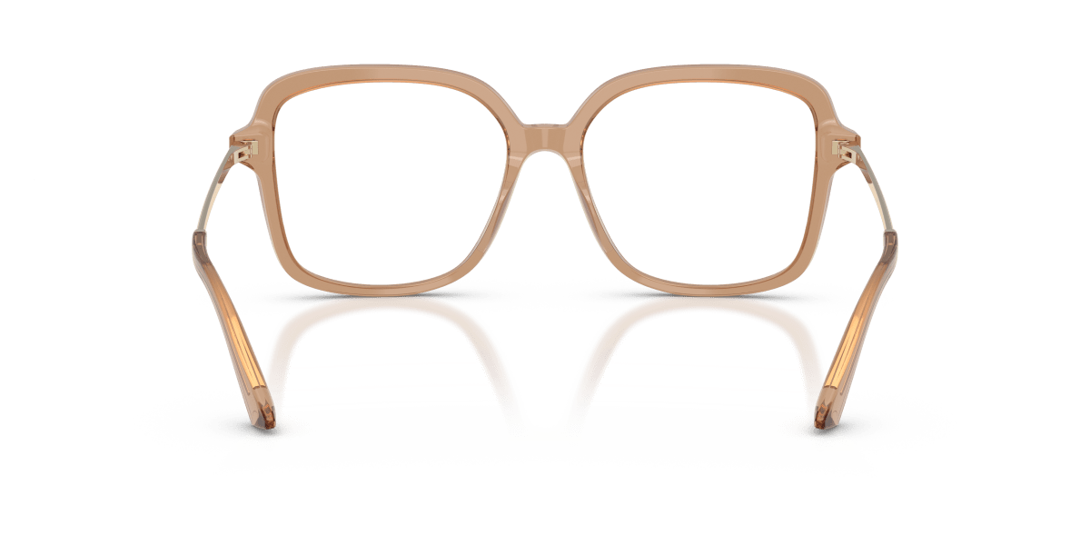 0JC3061U Transparent Tan rear view image 3 barcode 8056262852811