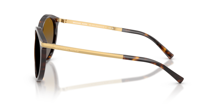 0MK2023 Brown Gradient Polarized Dark Tortoise 725125963343