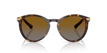 0MK2023 Brown Gradient Polarized Dark Tortoise 725125963343
