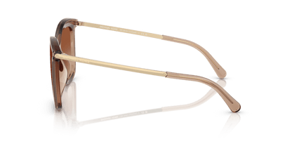 0MK2079U Brown Gradient Brown Transparent 725125527255