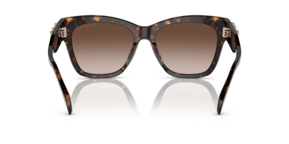 0MK2182U Brown Gradient Dark Tortoise 725125395823