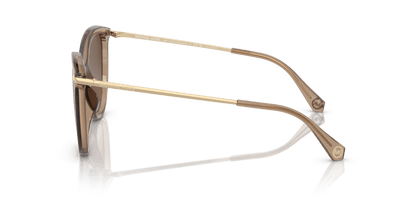 0MK2184U Brown Gradient Polarized Brown Transparent 725125518239