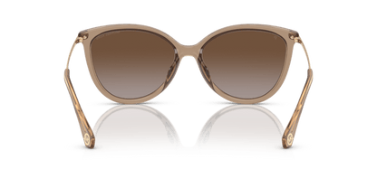 0MK2184U Brown Gradient Polarized Brown Transparent 725125518239