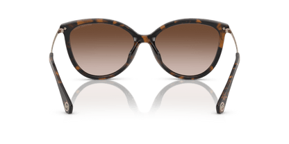 0MK2184U Brown Gradient Dark Tortoise 725125526005