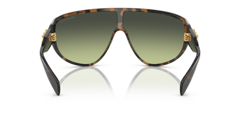 0MK2194 Light Green Gradient Dark Tortoise 725125398251