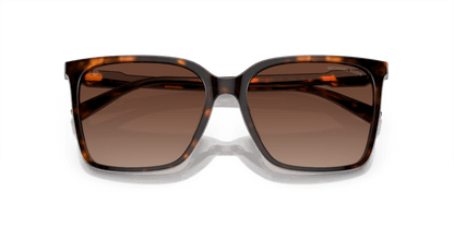 0MK2197U Brown Gradient Polar Dark Tortoise 725125402408