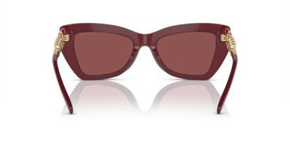 0MK2205 Cordovan Dark Red Transparent 725125402712