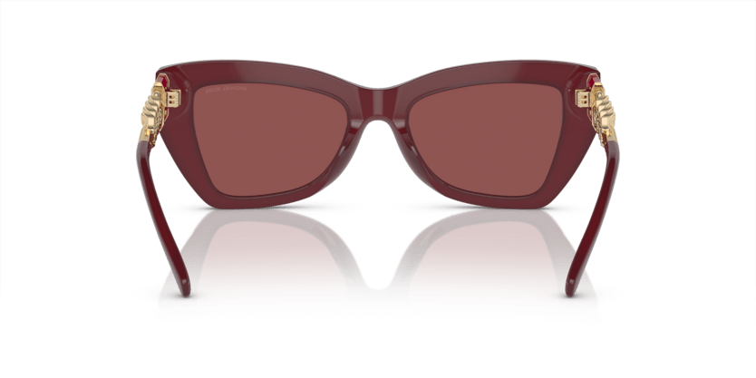 0MK2205 Cordovan Dark Red Transparent 725125402712