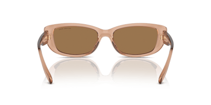 0MK2210U Brown Black Brown Transparent 725125517508