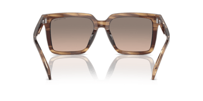 0MK2217U Brown Black Brown Horn 725125517829