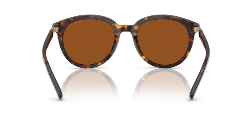 0MK2227 Brown Solid Dark Tortoise 725125523141