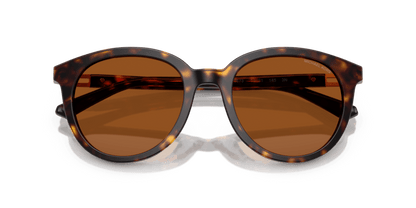 0MK2227 Brown Solid Dark Tortoise 725125523141