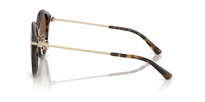 0MK2229D Dark Brown Solid Dark Tortoise 725125522939