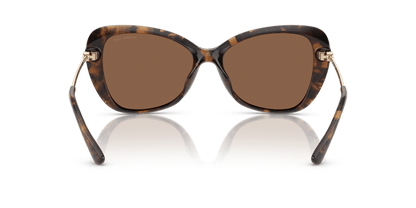 0MK2230U Dark Brown Solid Dark Tortoise 725125523479