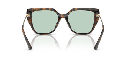 0MK2231U Green Solid Photochromic Dark Tortoise 725125523561